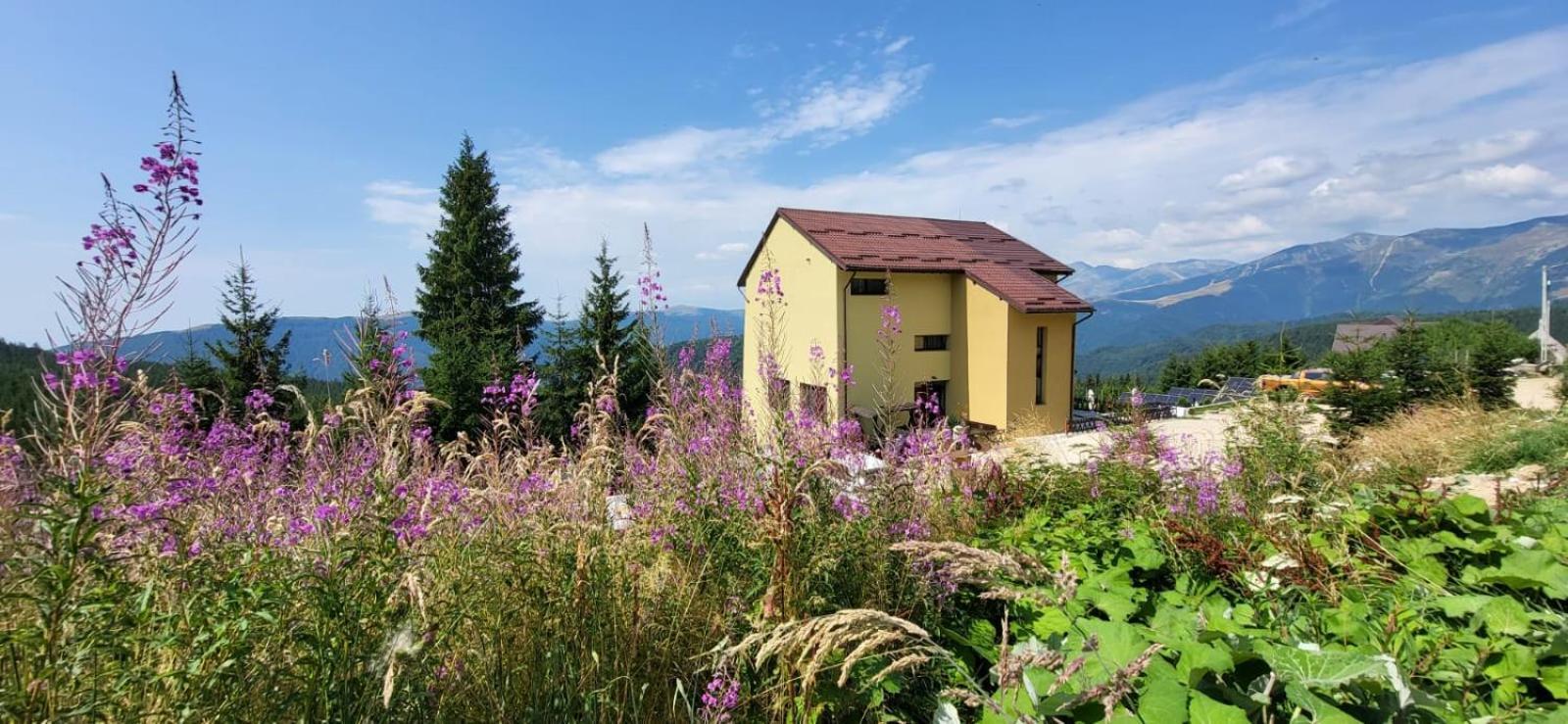 Pension Valea Mariei Ranca Esterno foto